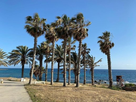 Откройте для себя яркое солнце, тёплое море и атмосферу беззаботного отдыха на Кипр