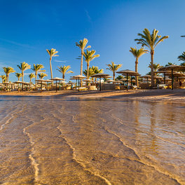 Nubian Island Hotel 5* — это один из лучших отелей для семейного отдыха и это не просто слова!